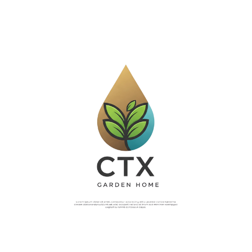 CTX-WORLD